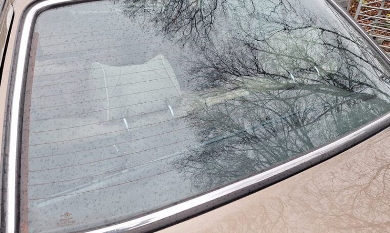 BMW 745i Limousine Bruin Met Bruin Leder 25000 Km 0