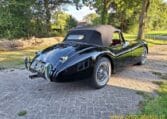 Jaguar XK120 DHC Zwart Met Rood Leder 0
